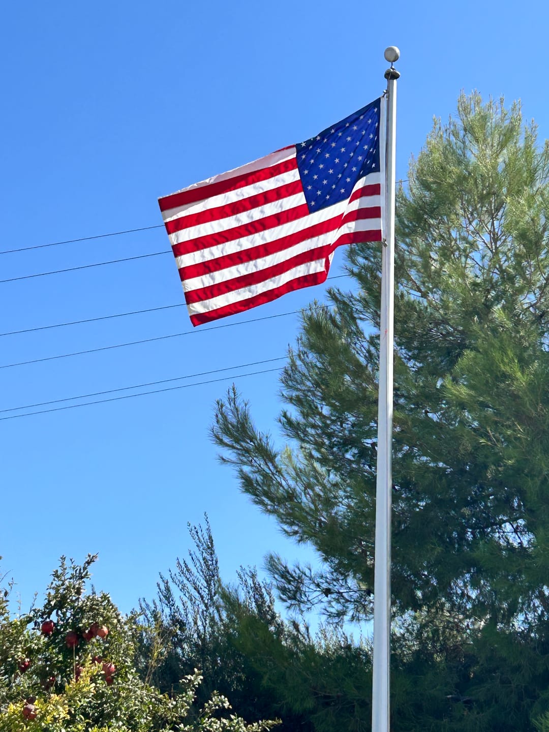 Customer photo review of 5' x 8' American Flag