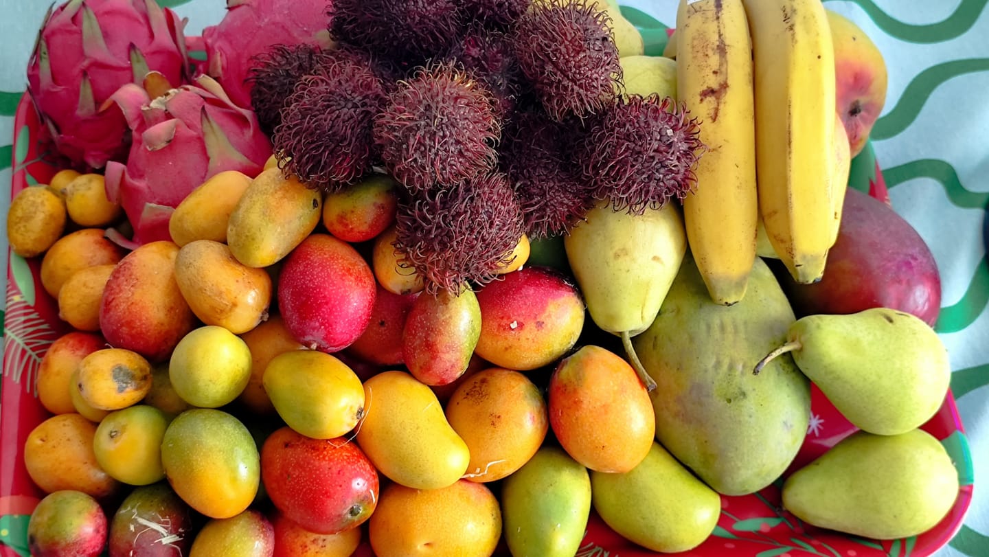 Customer photo review of Baby-Mango Mix "Wild Wonders" von Julian