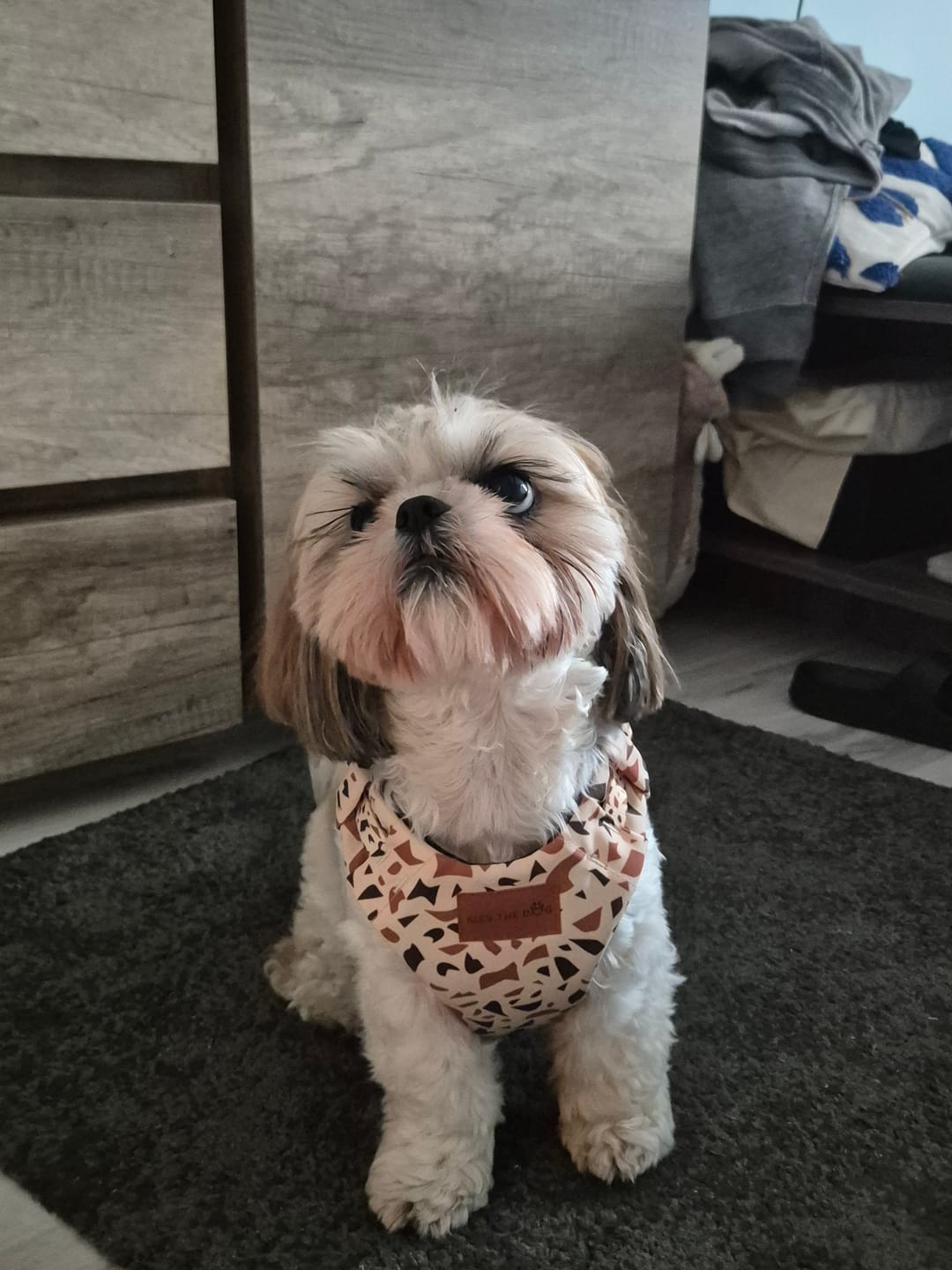 Customer photo review of Szelki bezuciskowe "Beige Terrazzo" - czarne okucia