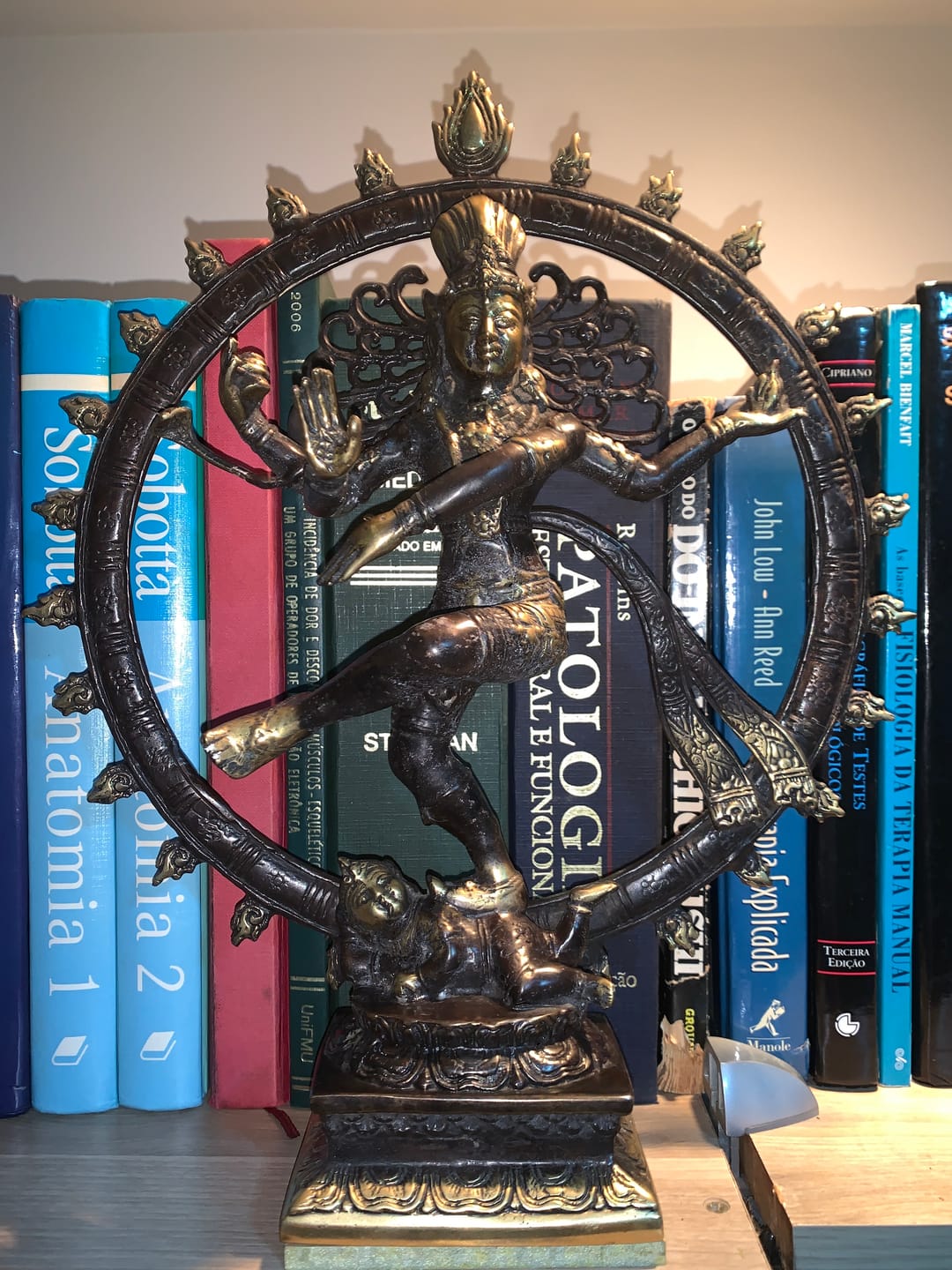 Customer photo review of Escultura Shiva Nataraj em Bronze