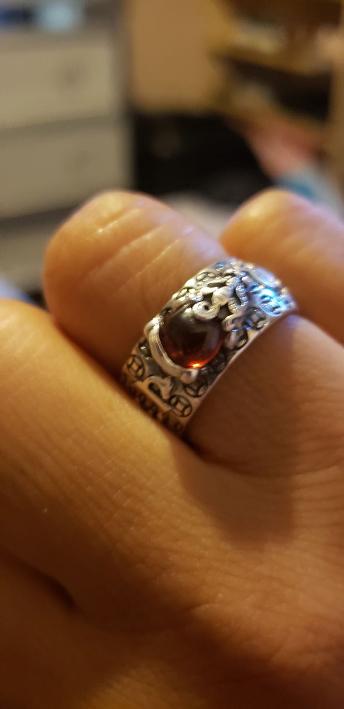 Customer photo review of FREE Today: Wealth & Protection Garnet Pixiu Blessing Mantra Ring
