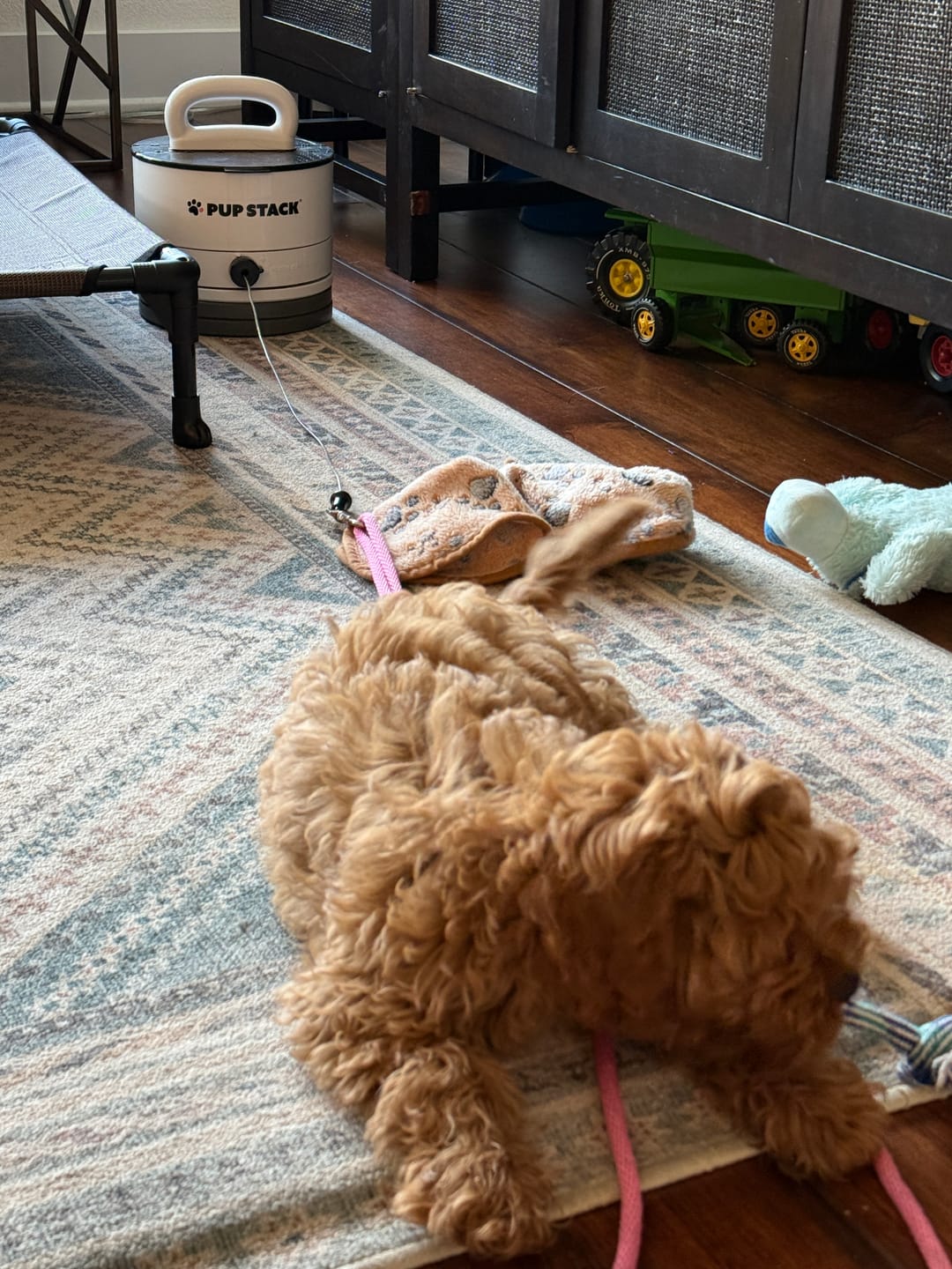 Customer photo review of Pup Stack