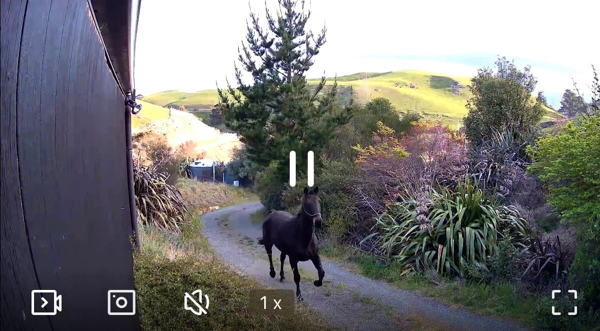 Customer photo review of Solar Camera Pro 3.0 WIFI®