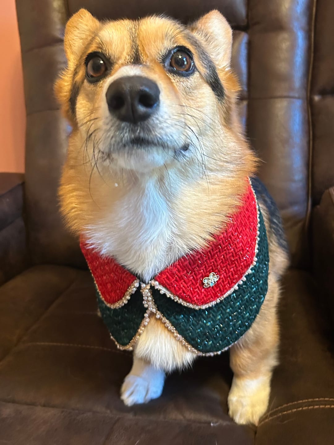 Customer photo review of Merry -Handmade Red &Green Christmas Bandana with Interchangeable Brooch