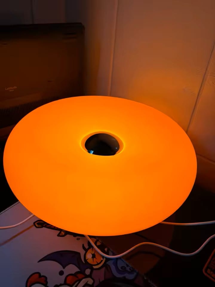 Customer photo review of Blown Glass Donut Lamp