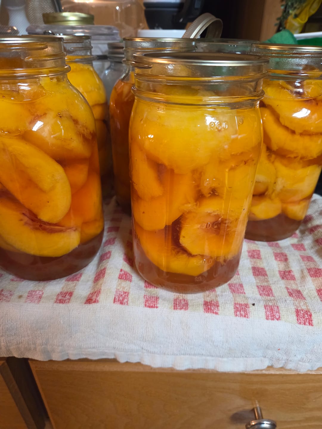 Customer photo review of Bulk Regular Mouth Canning Lids – 60 Pack