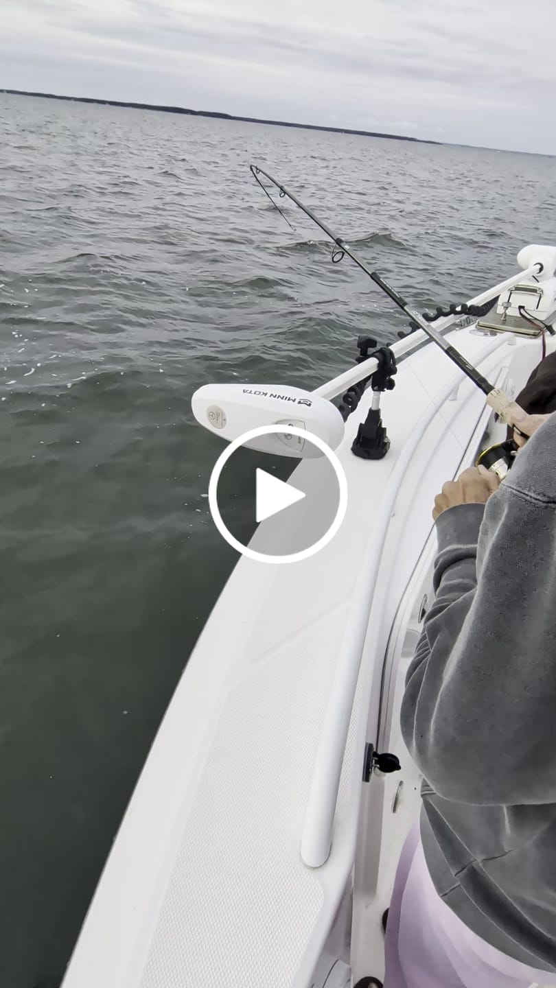 Customer video review of Carbon Shield III Spinning Rod