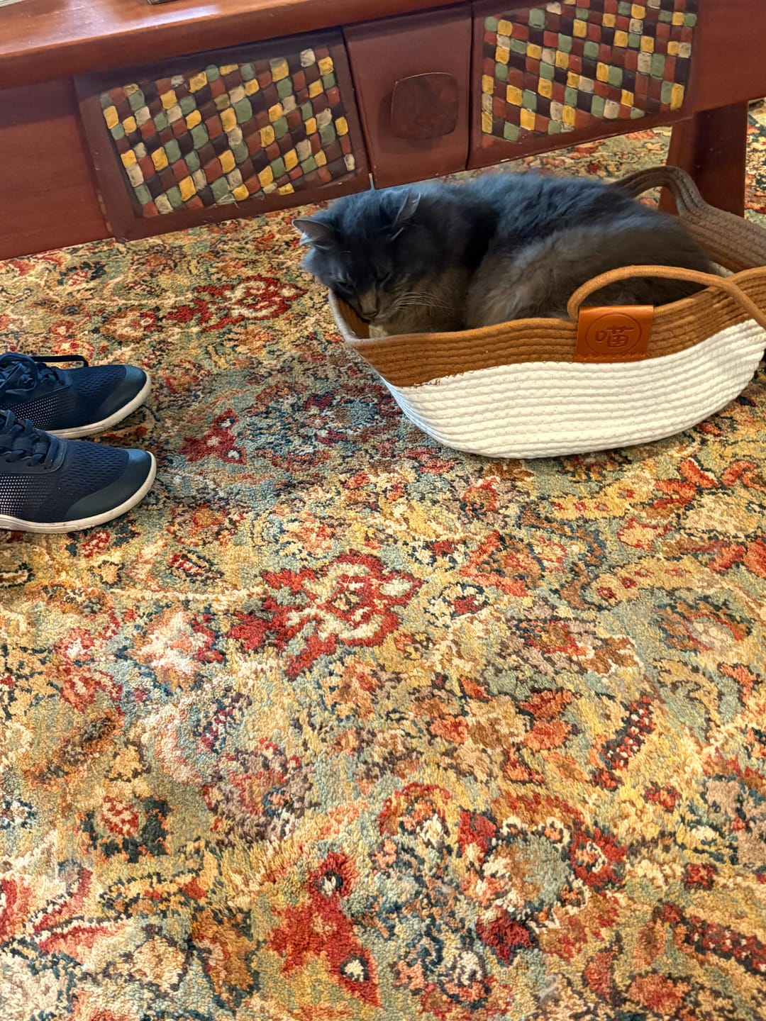 Customer photo review of Instinct Basket | Meet the first research-backed natural territory for indoor cats