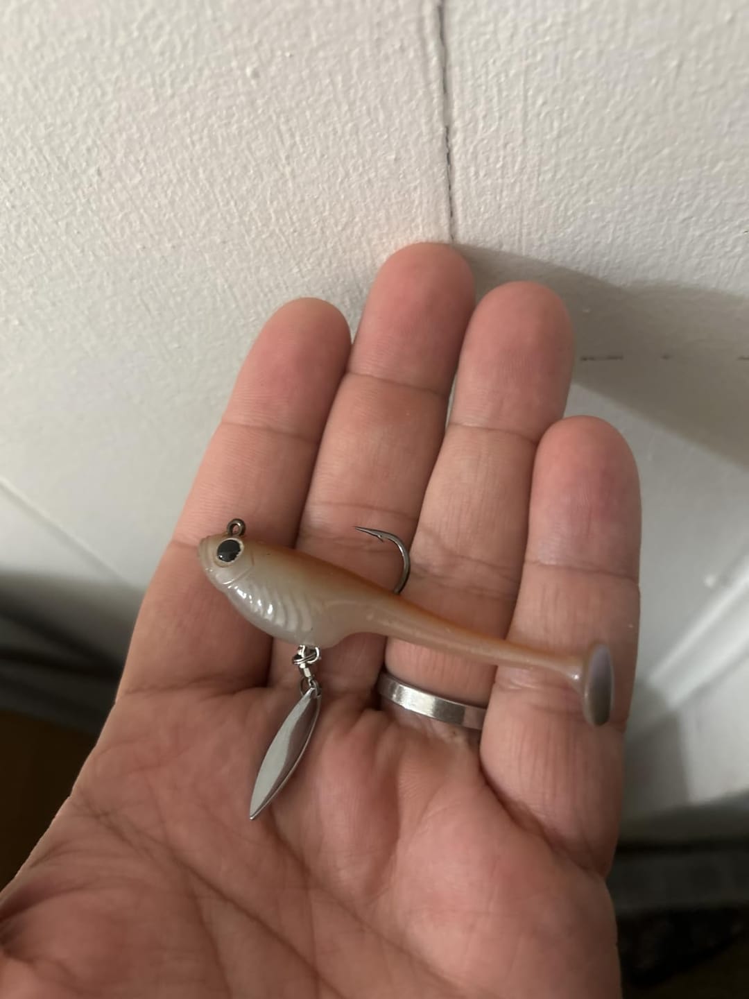Customer photo review of Shadtale Soft Fishing Lures with BKK Hooks