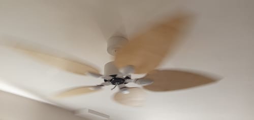 Customer's Virevole teinté Chêne ventilateur de plafond en mouvement, avec pales en bois floues par la rotation.