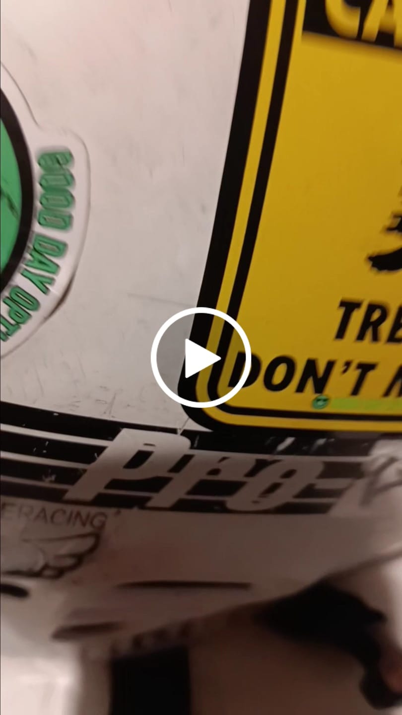 Customer video review of Trees Don’t Move Sticker