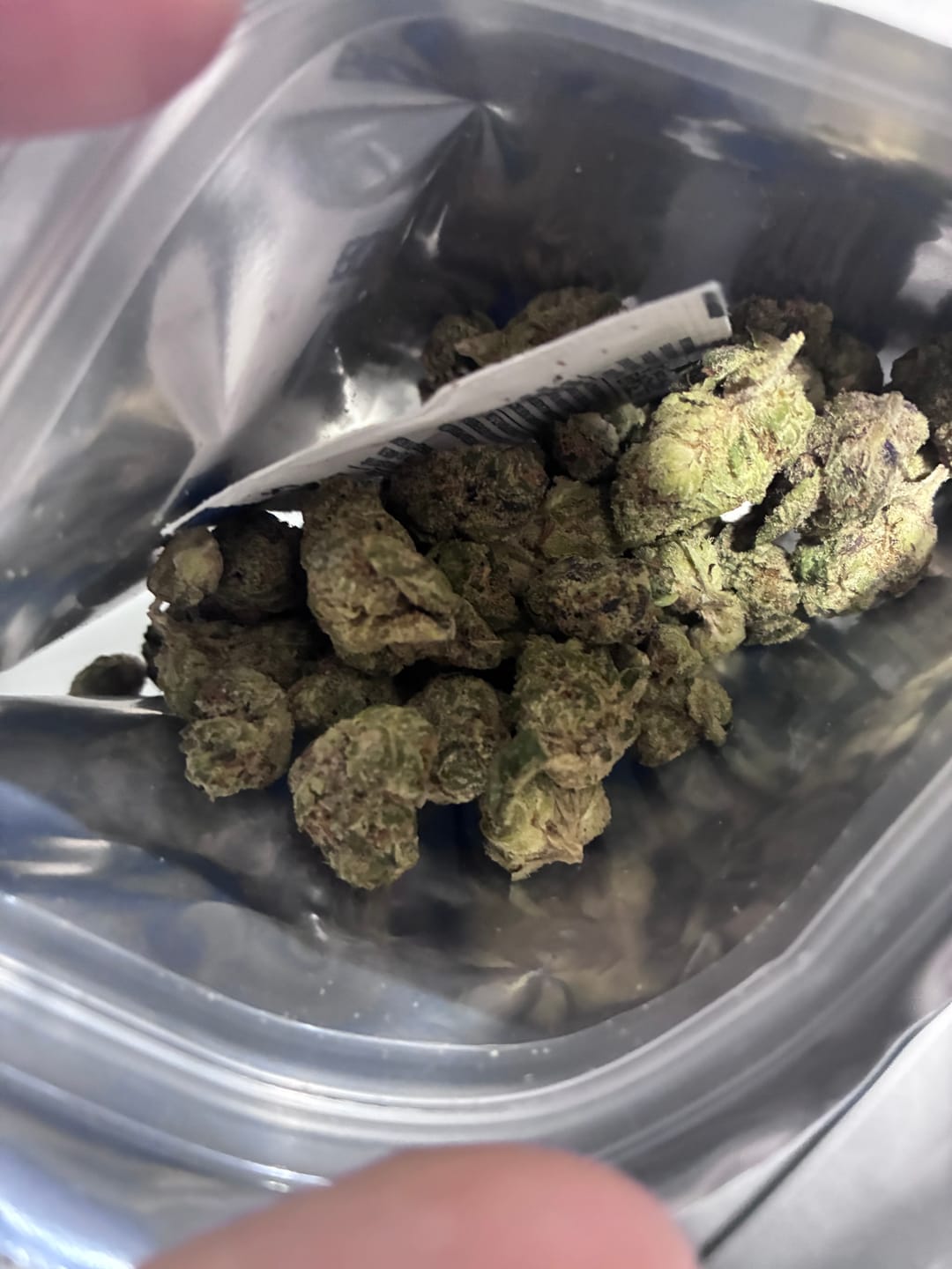 Customer photo review of King Louis - Exotic Smalls