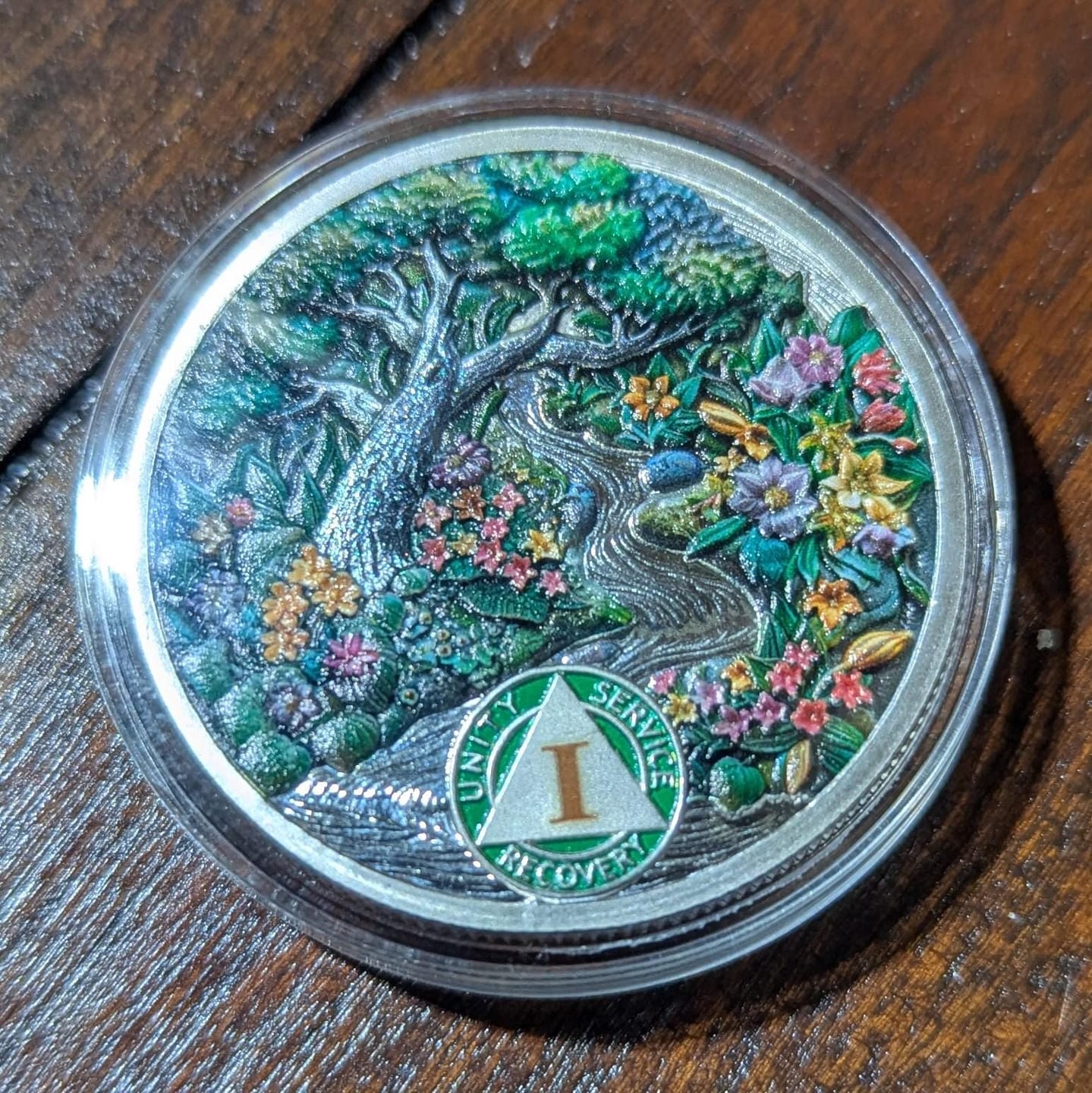 Customer photo review of 1–12 Month Seasonal Landscape Sobriety Coins – Personalize Any Day, Month or Year
