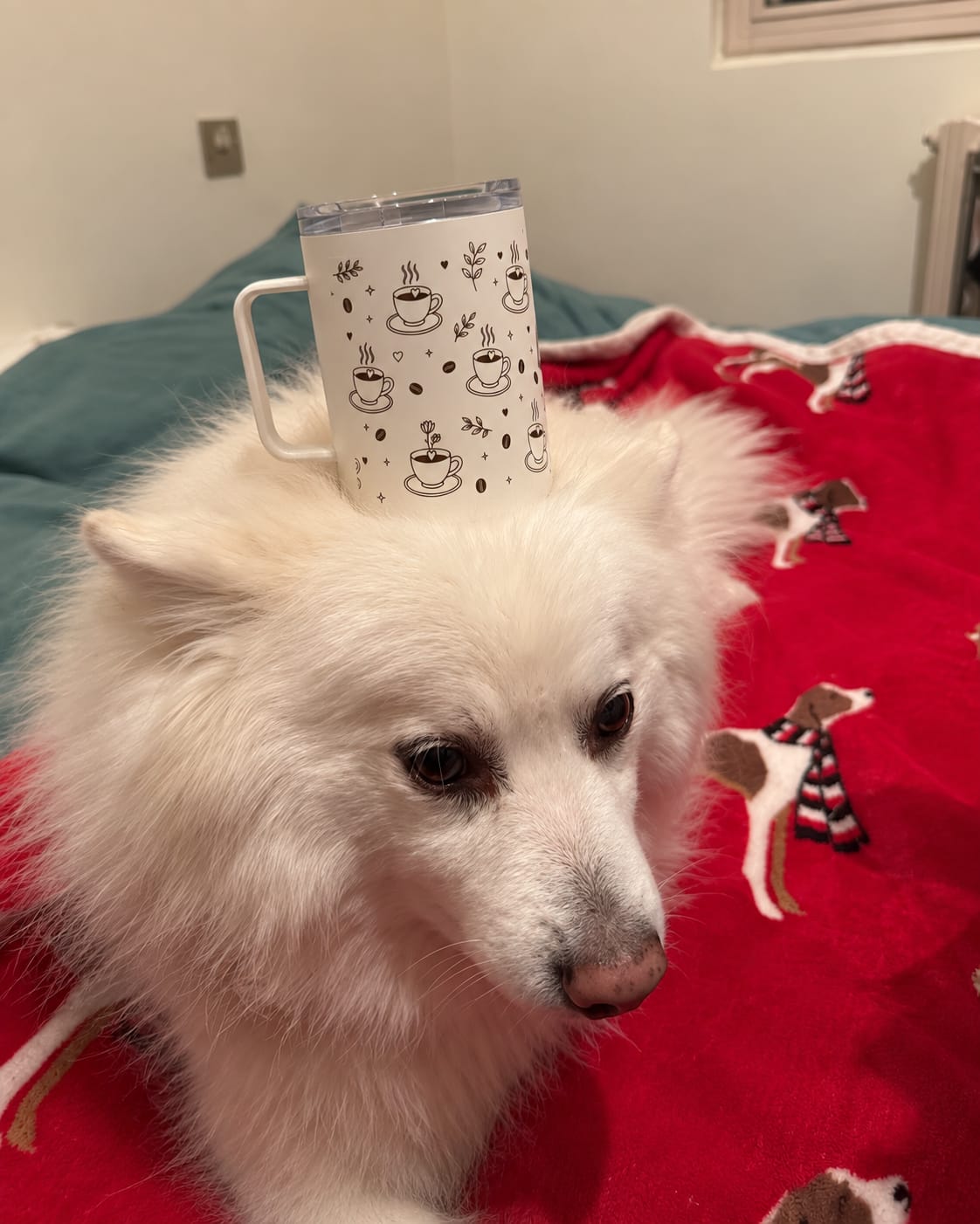 Customer photo review of Workday Fuel Insulated Mug