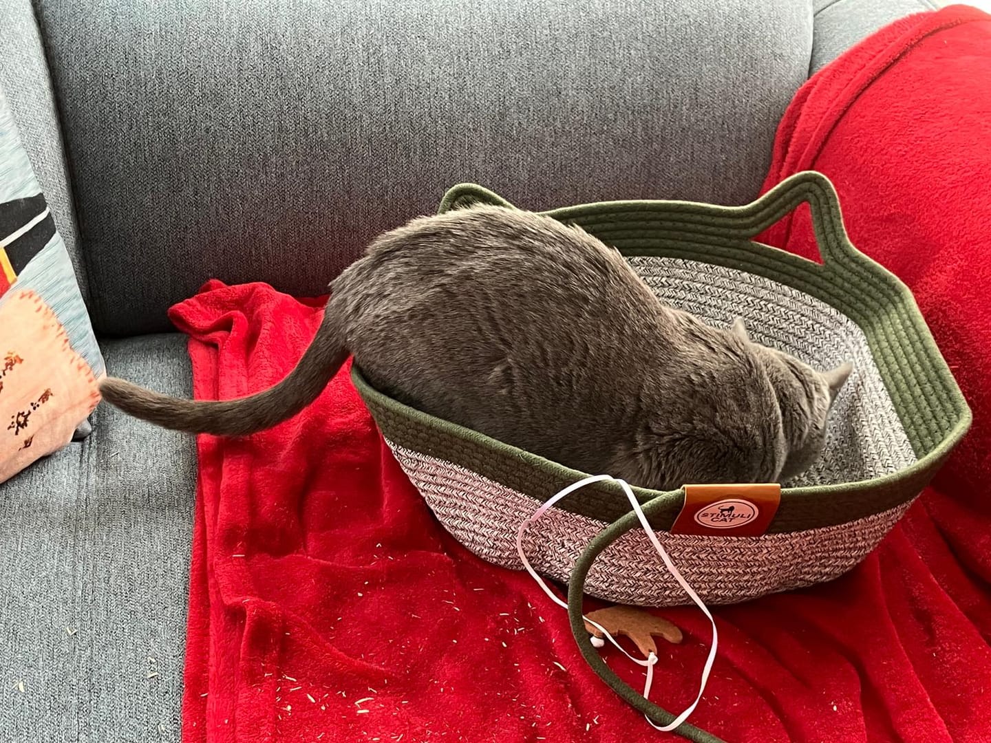 Customer photo review of Instinct Basket | Meet the first research-backed natural territory for indoor cats