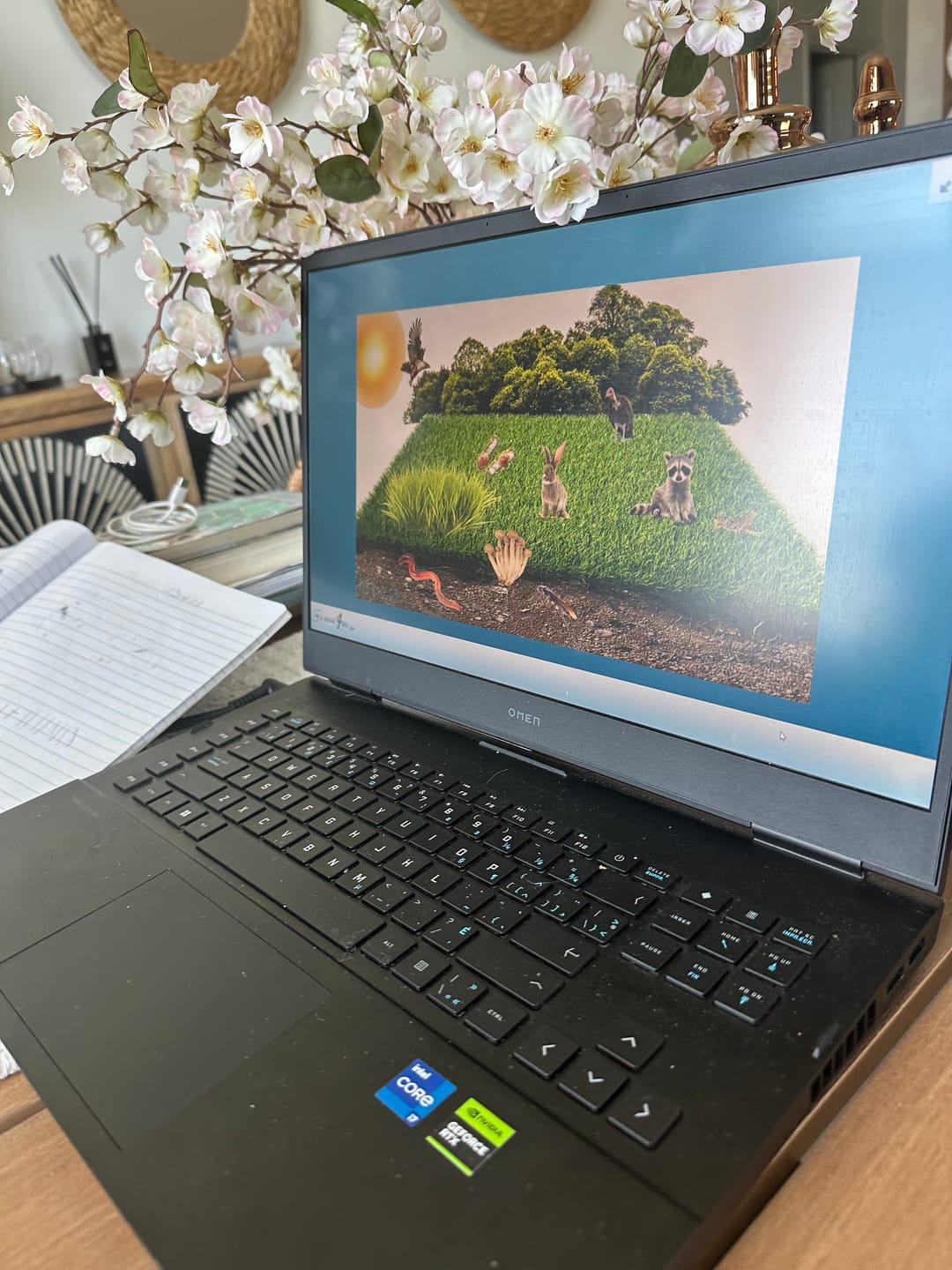 Customer photo review of Fifth Grade Curriculum
