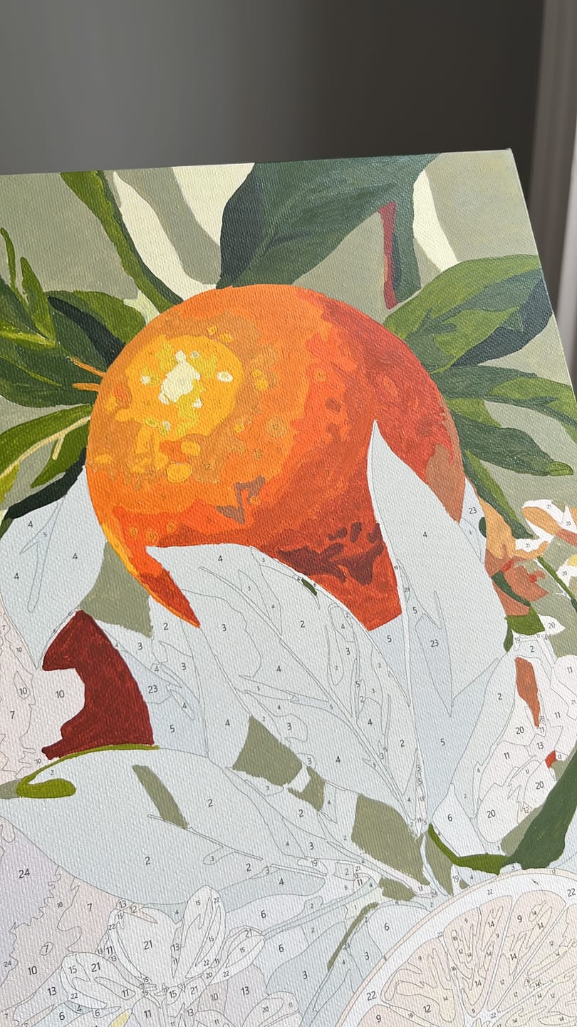 Customer photo review of Blooming Oranges | Paint by Number