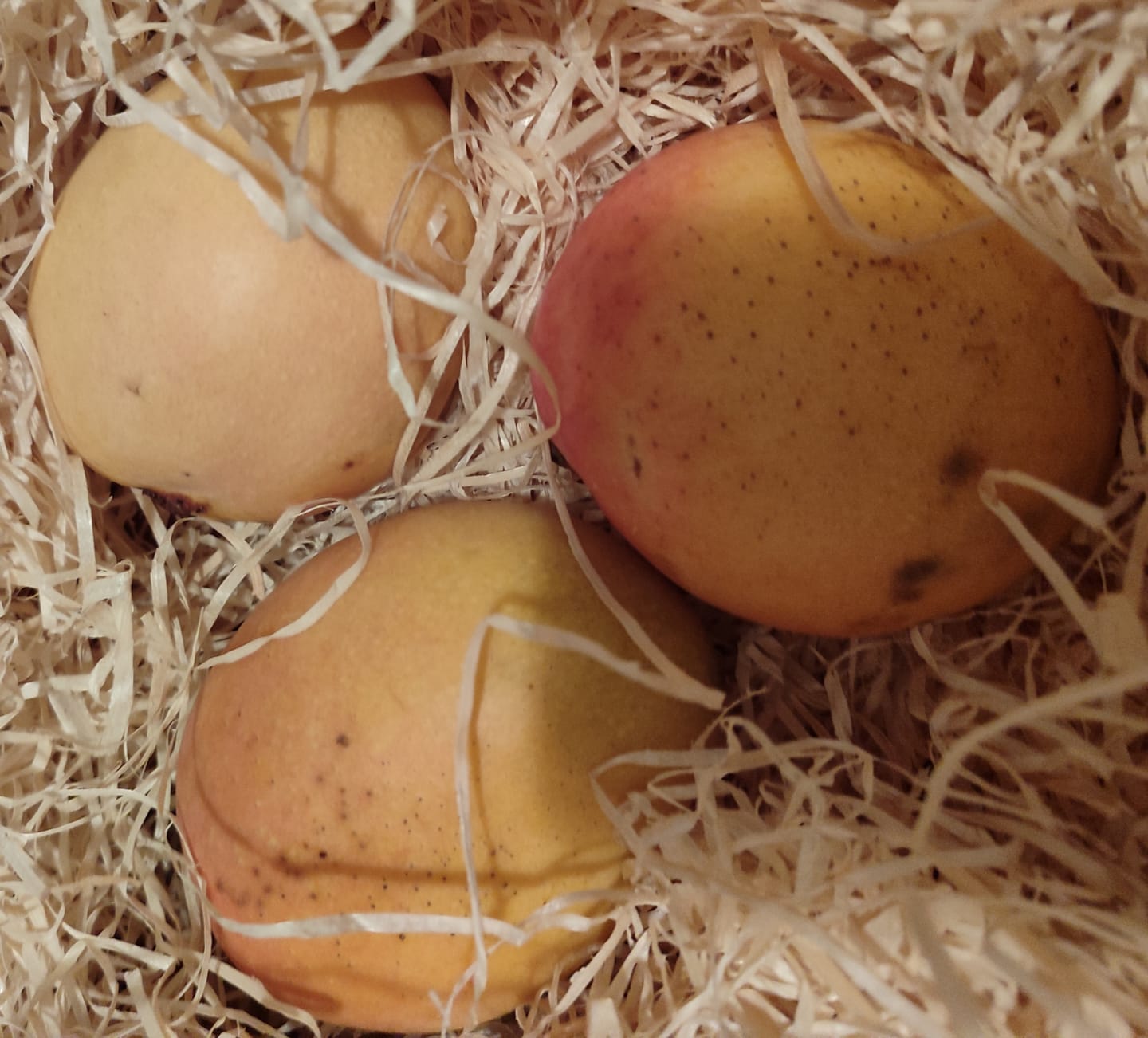 Customer photo review of Ätna Vulkan Mangos Kensington Pride Bio Sizilien