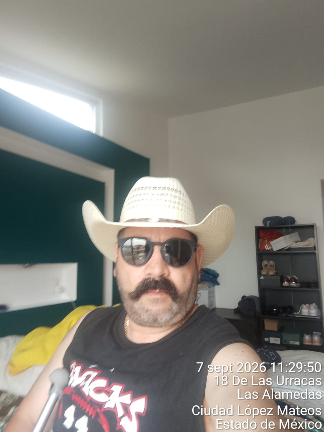 Customer photo review of Bangora Ivory Chihuahua