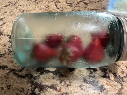 Customer photo review of Mason Genie® Vacuum Sealer Kit