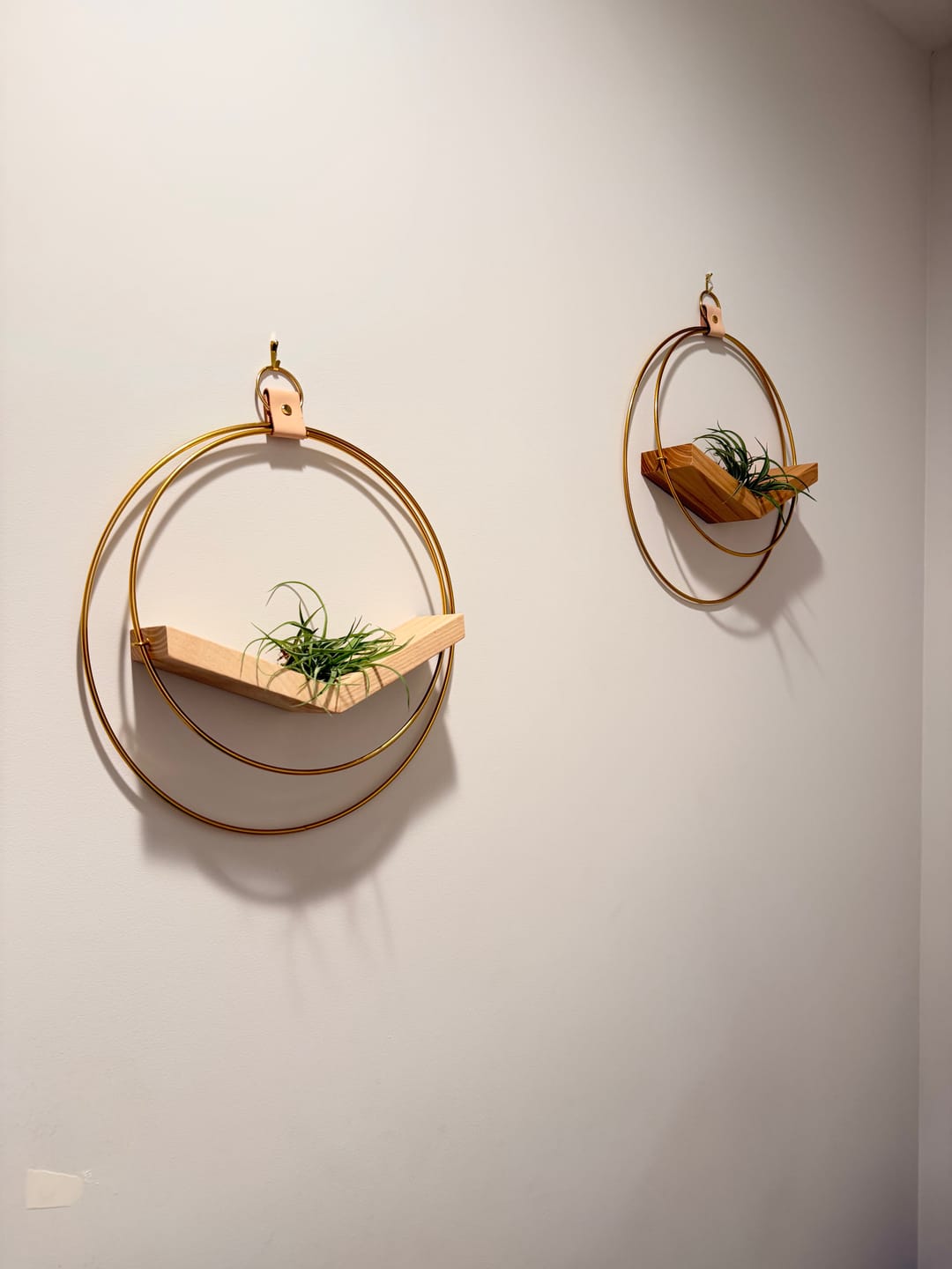Customer photo review of Air Plant Shelf + Pot Duo