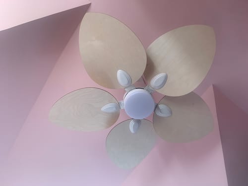 Customer's Dahlia ceiling fan with light wood blades mounted on a pink ceiling