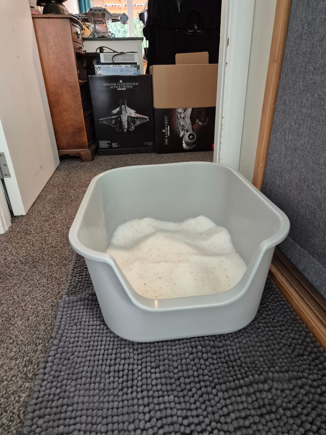 Customer photo review of Fit Litter