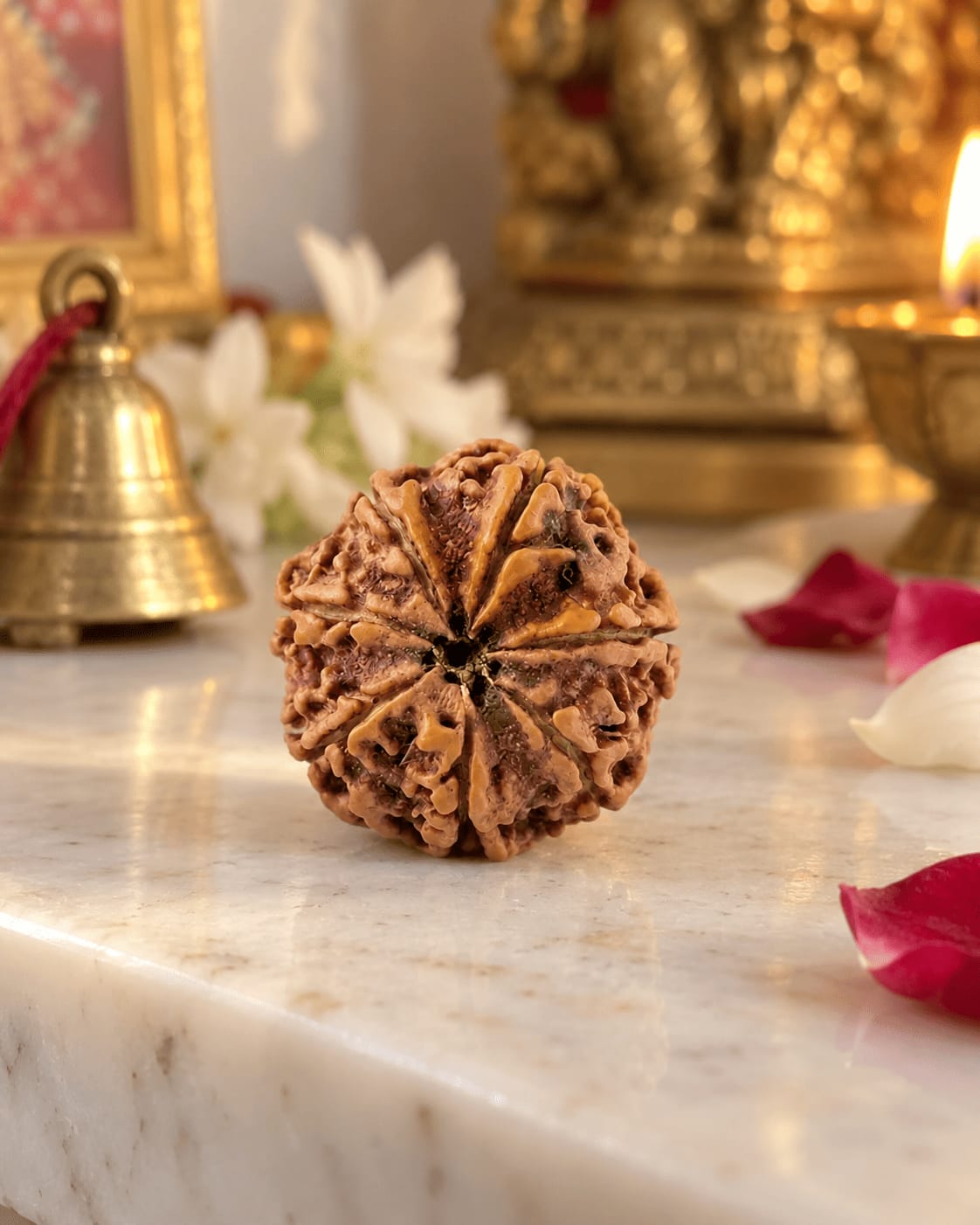 Customer photo review of 7 Mukhi Rudraksha (Nepali)