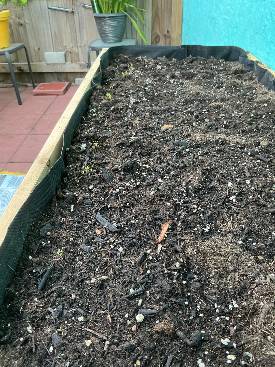 Customer photo review of 18″ x 48″ Deep Root Raised Garden Bed - 30″ TALL - Select Grade