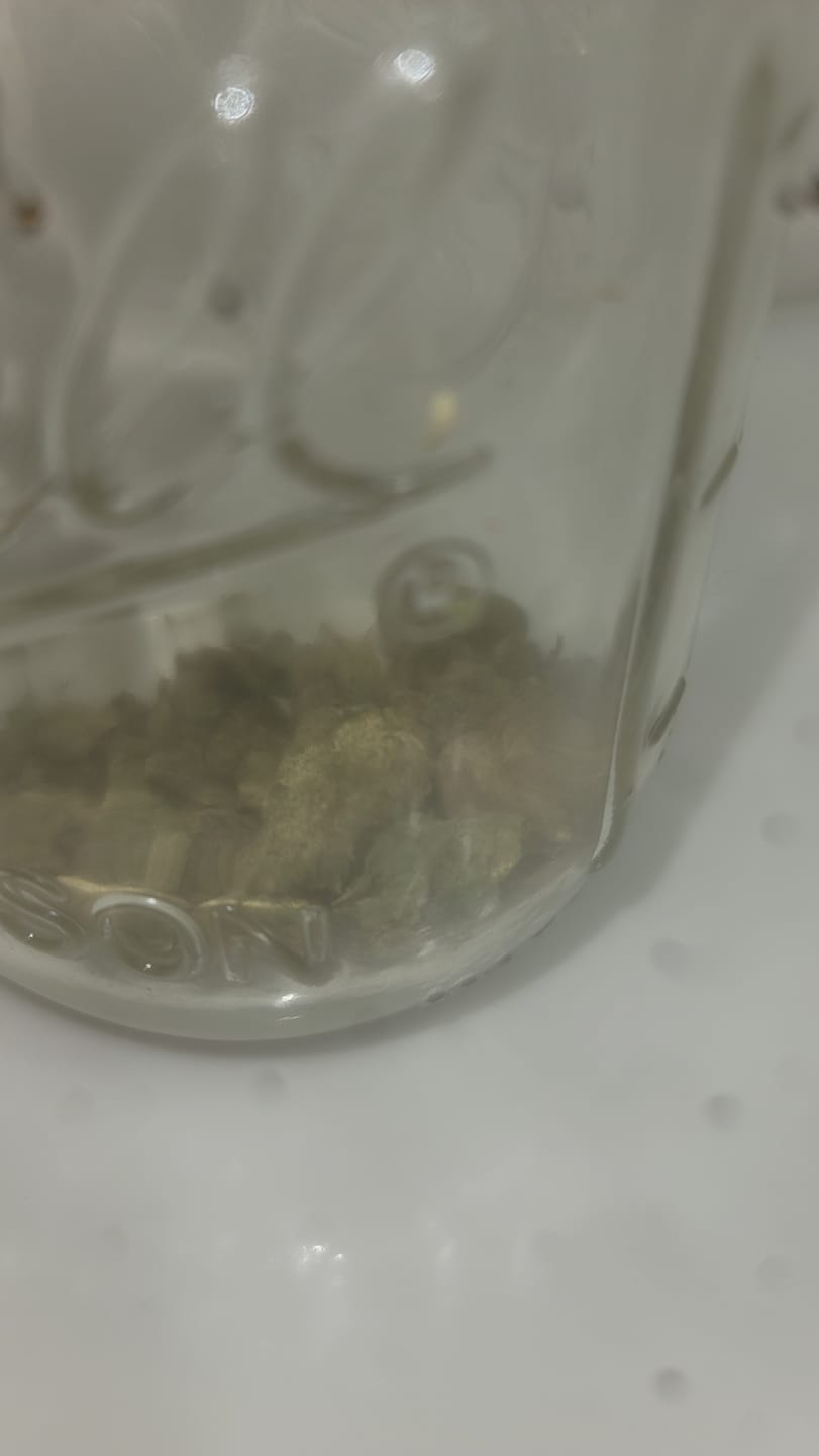 Customer photo review of White Nerds - Minis - 28 Grams - Hybrid