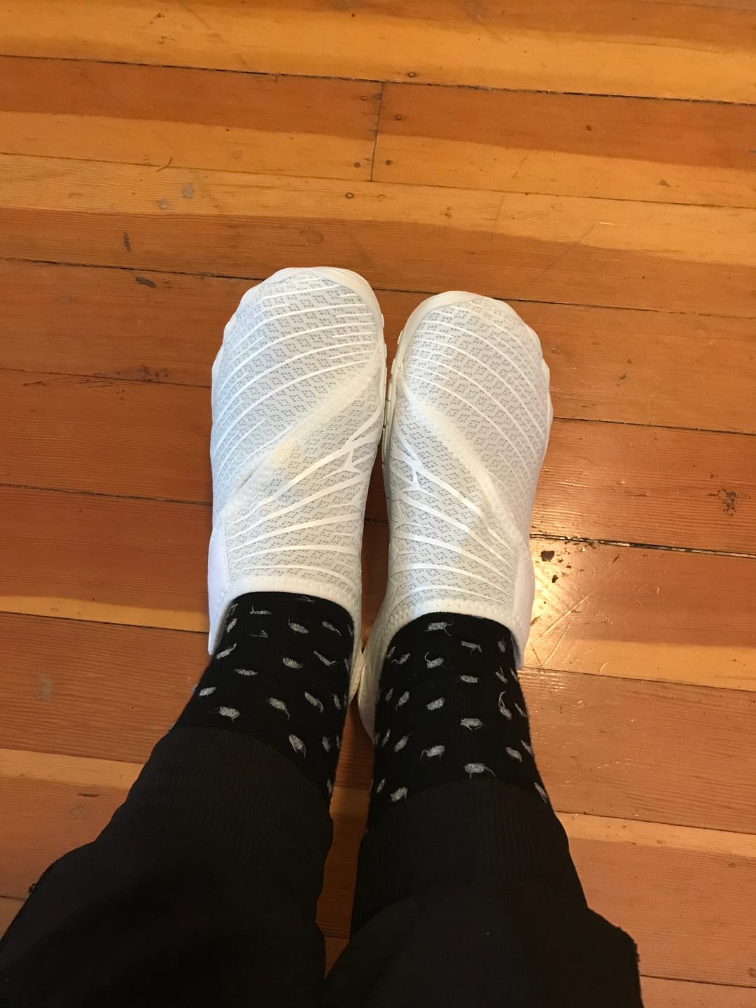 Customer photo review of Solyn 2+1