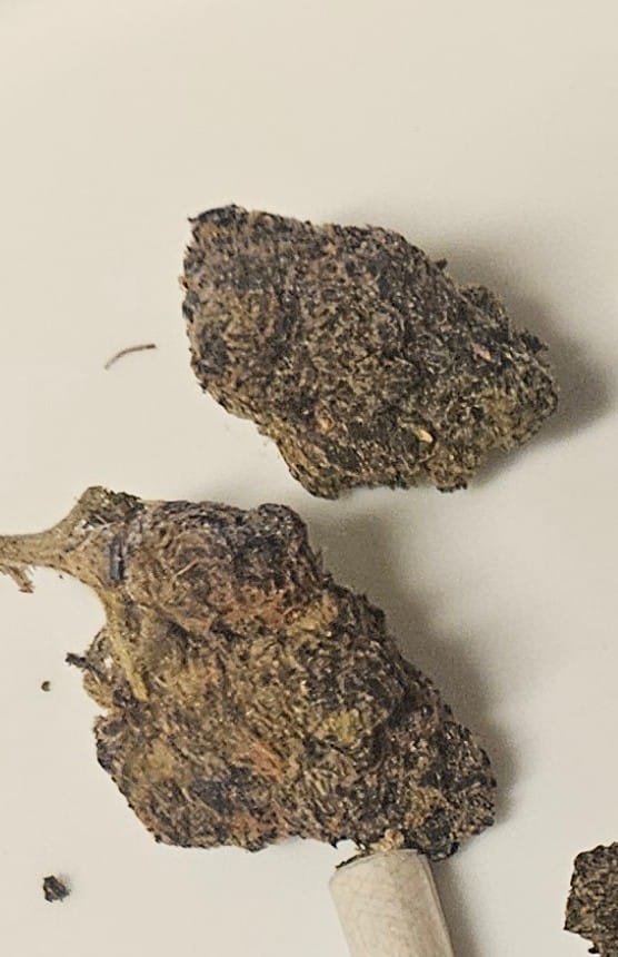 Customer photo review of Danky Kong