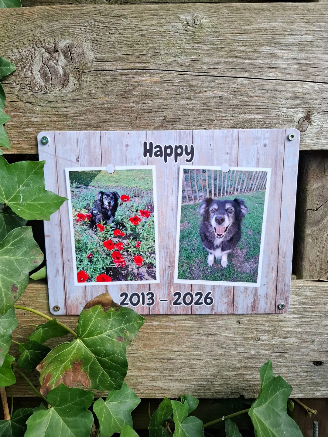 Customer photo review of Hunde-Türschild personalisiert mit Foto & Text (UV- und wetterfest)