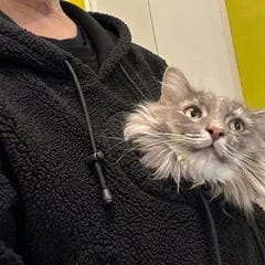 Customer photo review of PeekPet™️ Sudadera portamascotas
