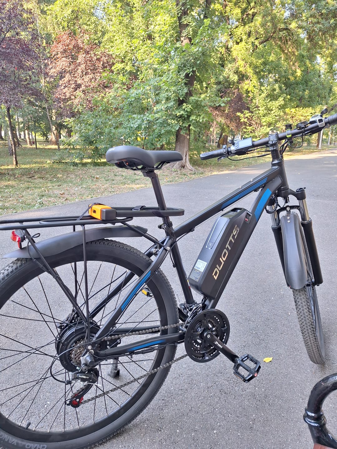 Customer photo review of DUOTTS C29 Electric Bike
