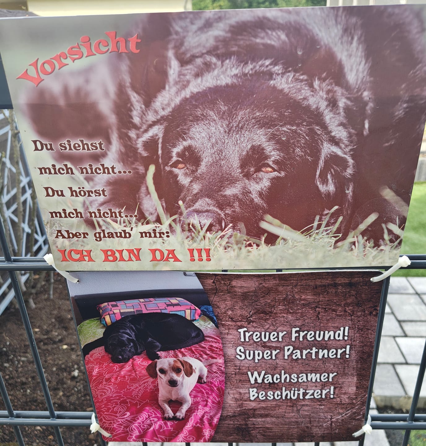 Customer photo review of Hunde-Türschild personalisiert mit Foto & Text (UV- und wetterfest)