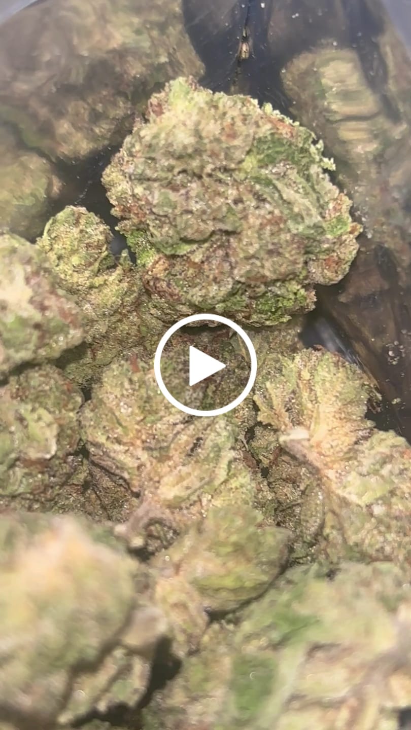 Customer video review of Blueberry Muffin THCA Flower