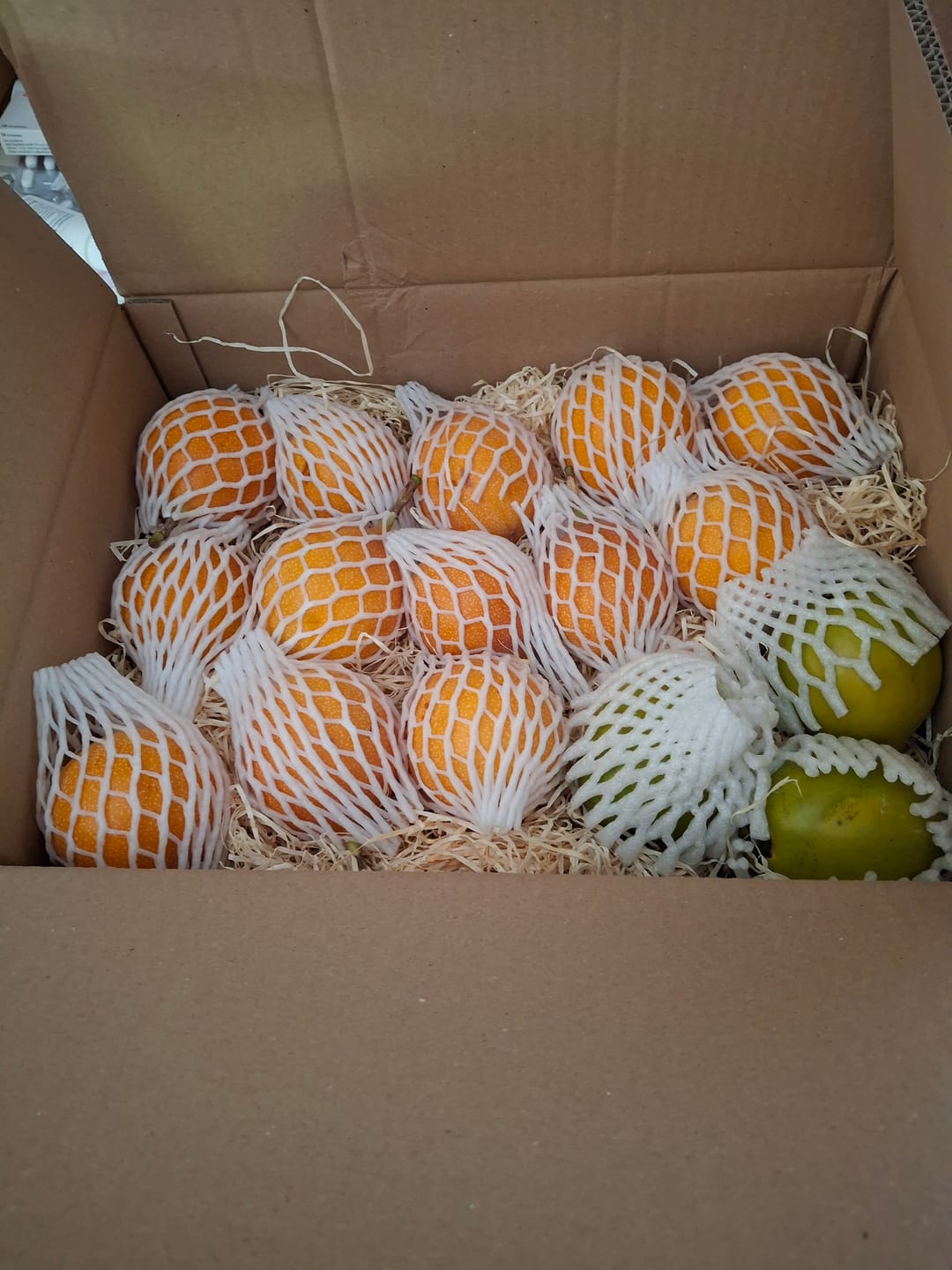 Customer photo review of Eggfruit (Canistel)