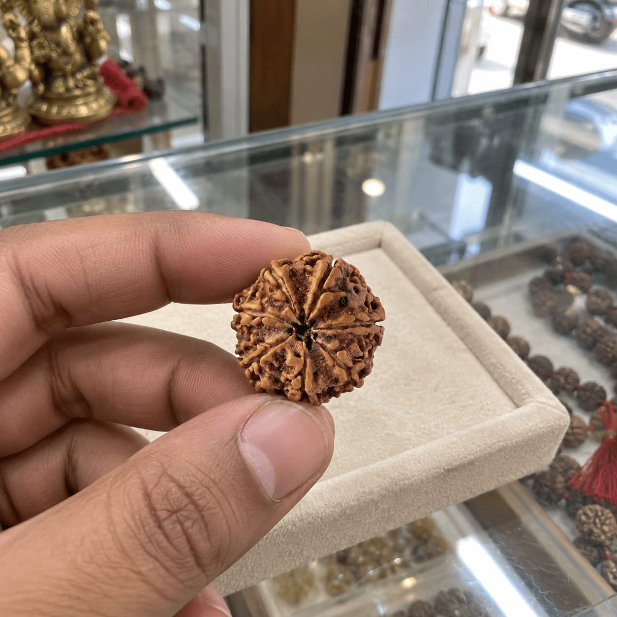 Customer photo review of 7 Mukhi Rudraksha (Nepali)