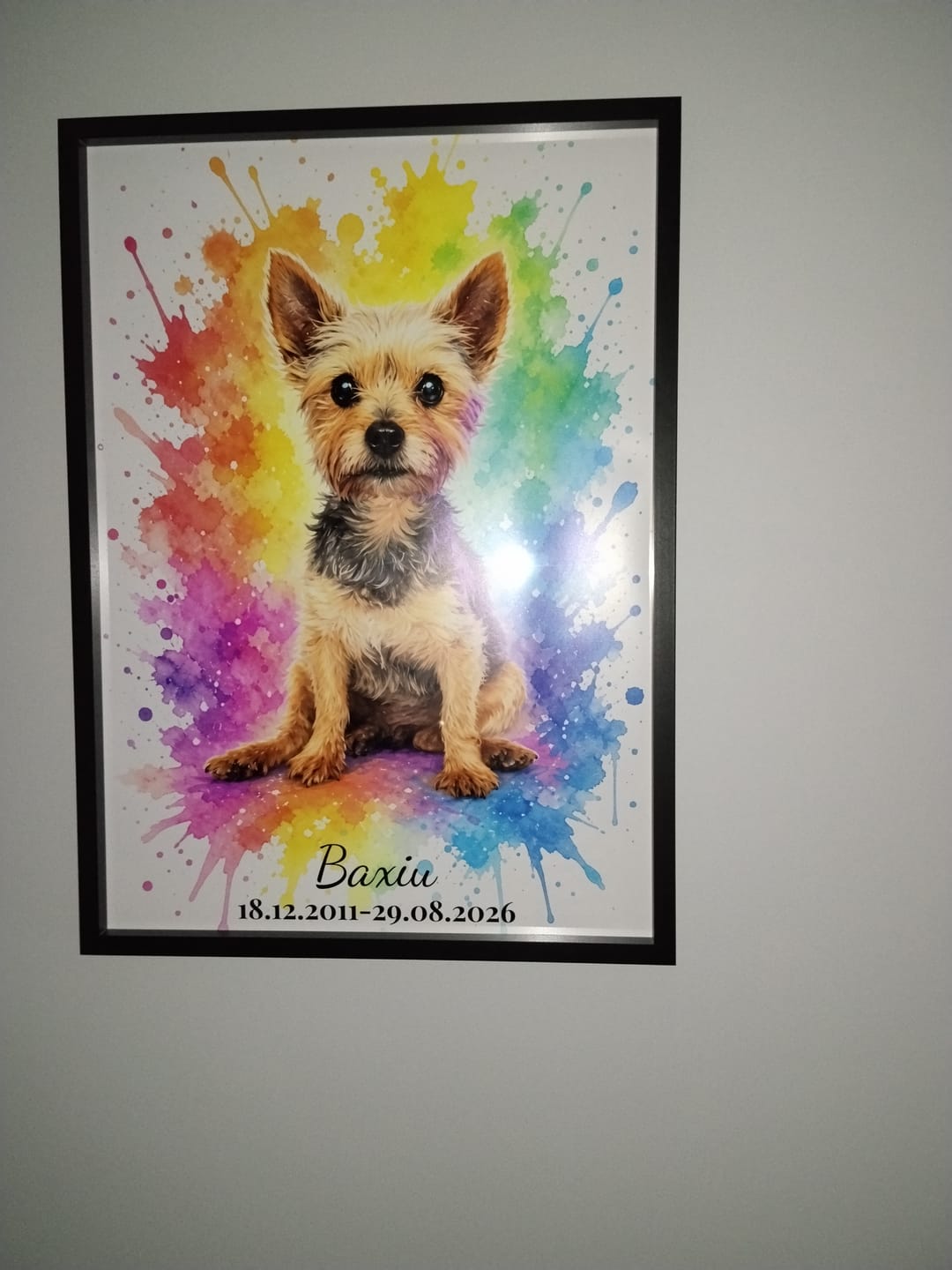Customer photo review of Dein Haustier als Kunstwerk – mit Live-Vorschau, als Poster oder Leinwand