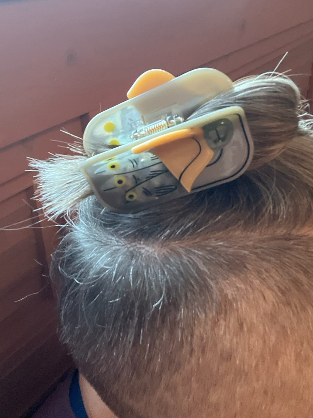 Customer photo review of Midi Tinned Fish Hair Claw Clip