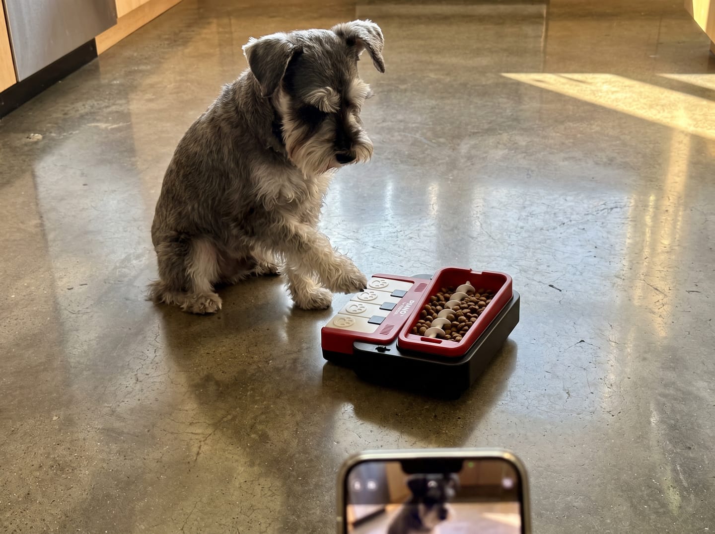 Customer photo review of PianoFeeder™ Interactive Dog Treat Dispenser