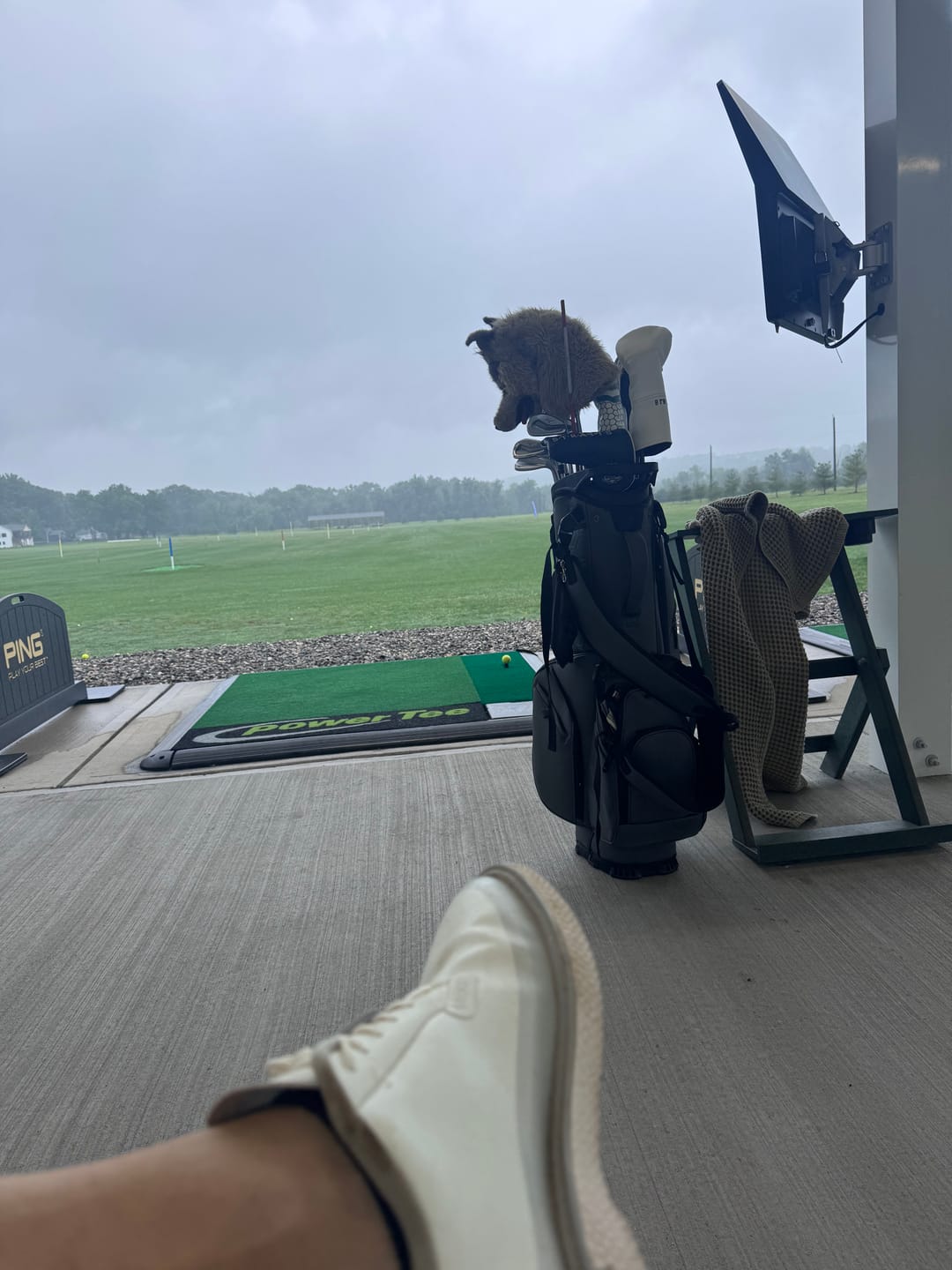 Customer photo review of LUX V2 8.5" Carry Bag: Hippo
