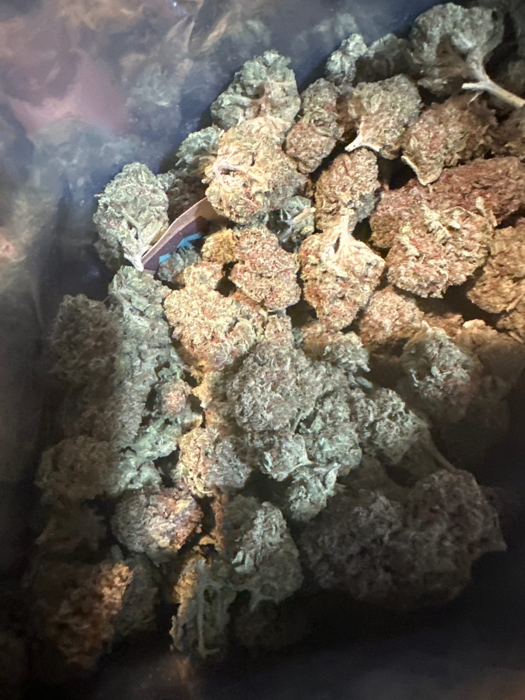 Customer photo review of THCA Queen