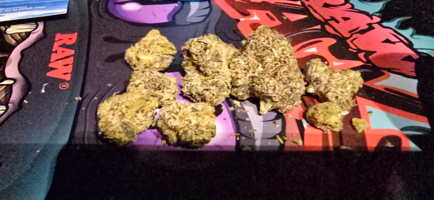 Customer photo review of Thin Mint Cookies - 4 Grams - Hybrid