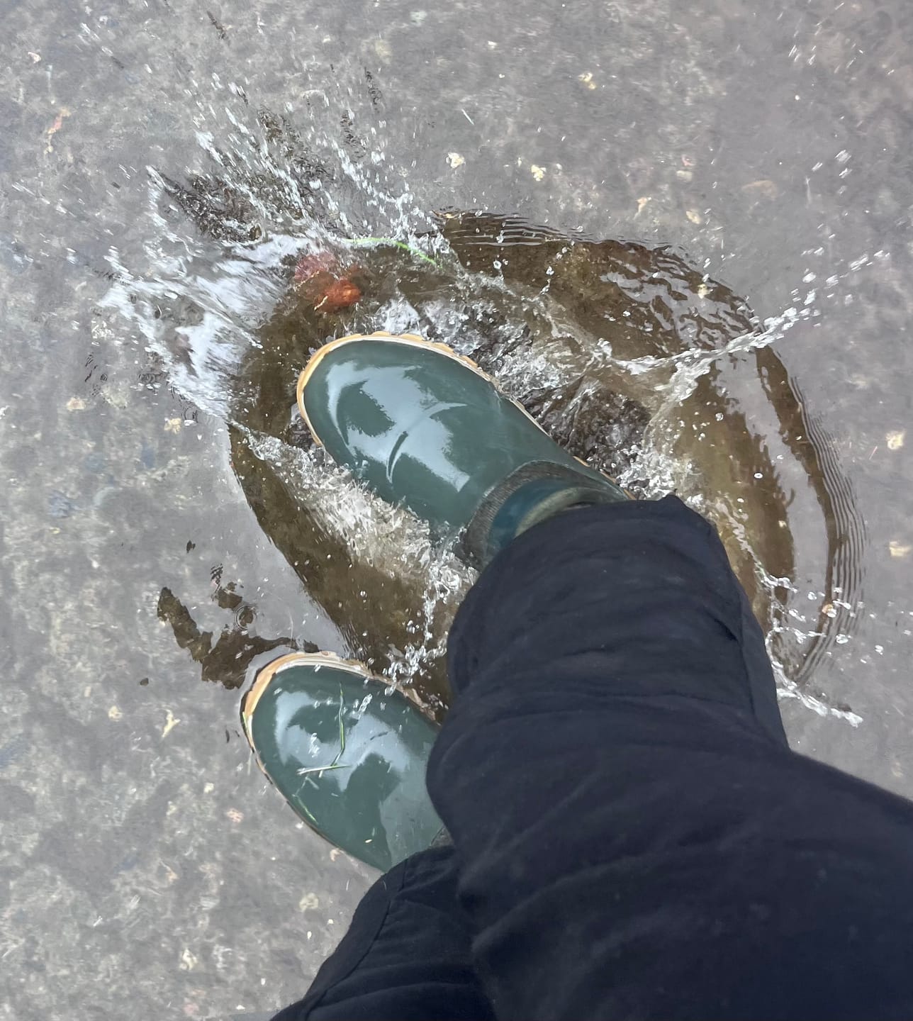 Customer photo review of Women's Arctic Sport II Ankle Boots