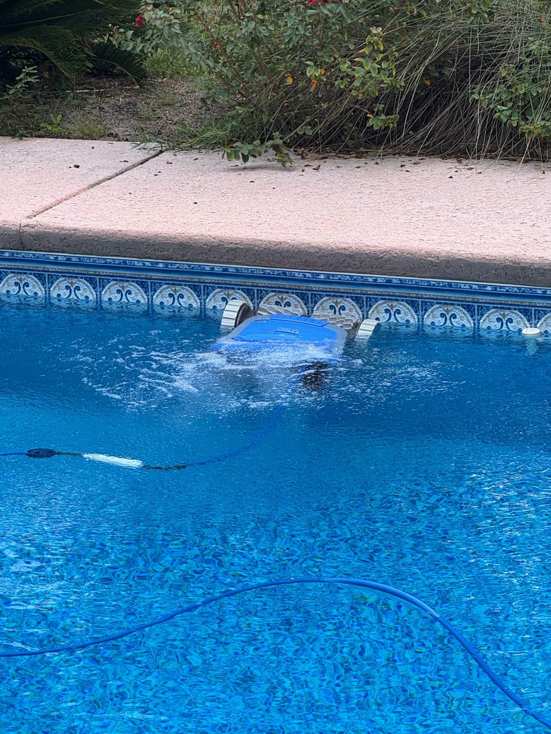 Customer photo review of Dolphin M550 Robotic Pool Cleaner Maytronics