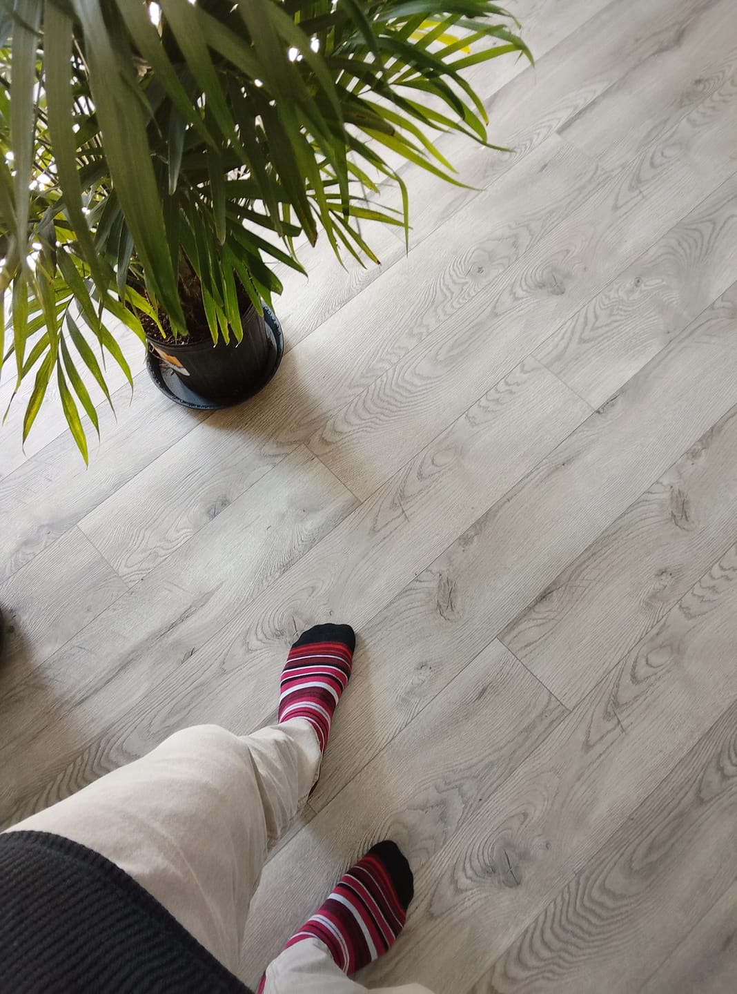 Customer photo review of The Colpinis - A Red, White, and Black Striped Sock