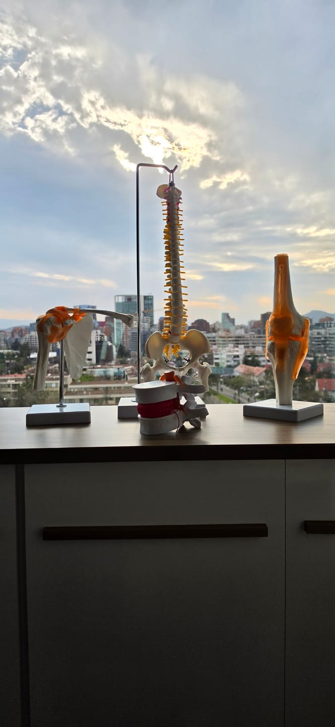 Customer photo review of Articulación de Rodilla