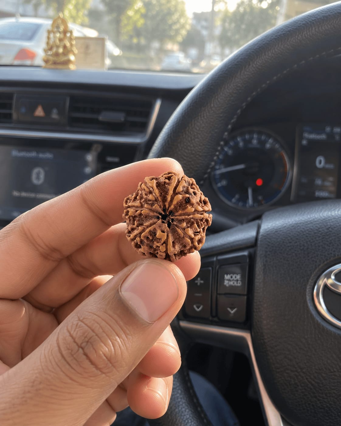 Customer photo review of 7 Mukhi Rudraksha (Nepali)